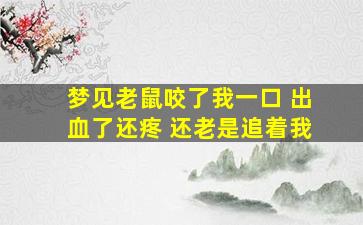 梦见老鼠咬了我一口 出血了还疼 还老是追着我